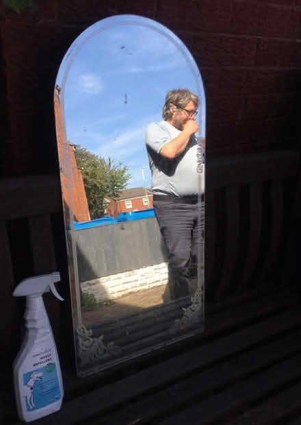 Photo of free Frameless Mirror (Liverpool L6) #2
