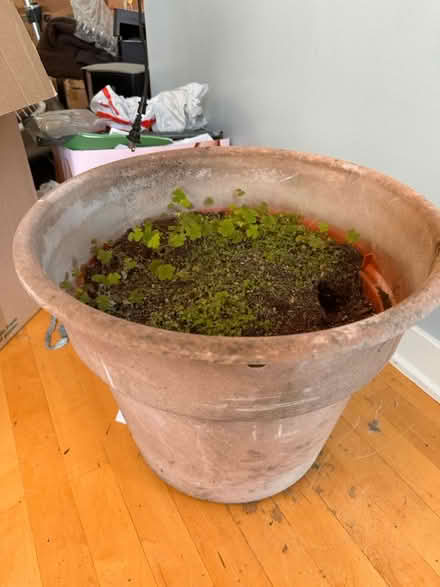 Photo of free Various large plastic garden pots (South Loop) #1