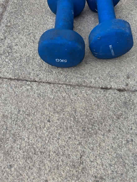 Photo of free 2x blue 5kg arm weights (Paignton Devon) #3