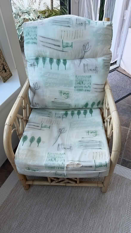 Photo of free Pair Bamboo Chairs (Rathmines Area) #1