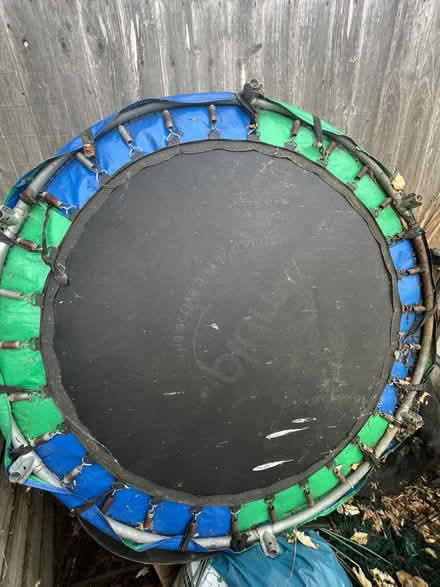 Photo of free Trampoline (Harringay N15) #2