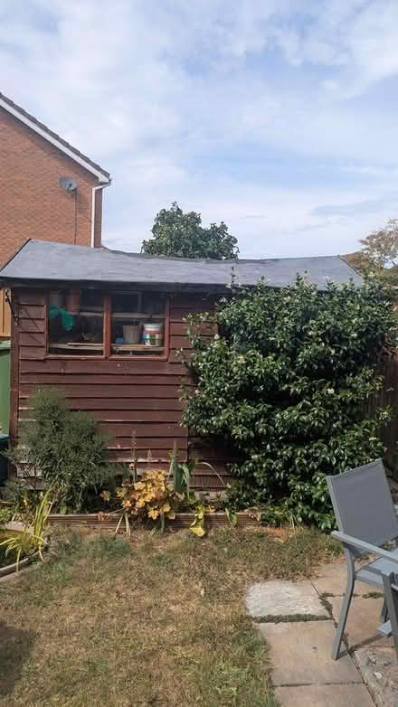 Photo of free Wooden shed (Stratford-upon-Avon CV37) #4