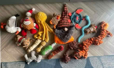 Photo of free Used dog toys (Bakersfield NG3) #1