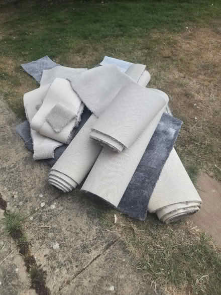 Photo of free Carpet offcuts (Bilton rugby CV22) #2