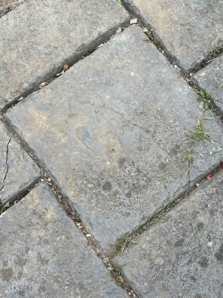 Photo of free Concrete Patio Pavers (Gorey) #2