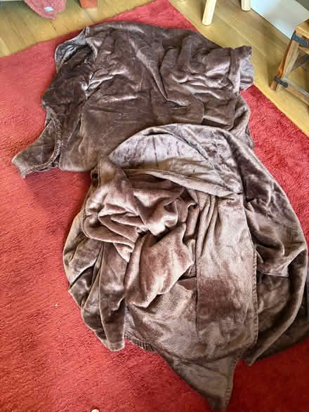 Photo of free 2 very large clean throw blankets (Roffey RH12) #1