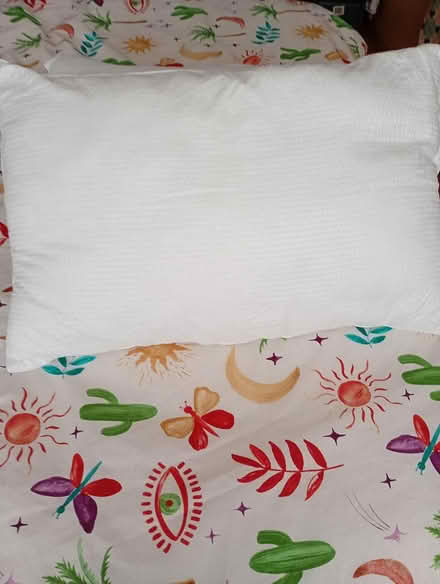 Photo of free Two new pillows (L14 Dovecot) #2