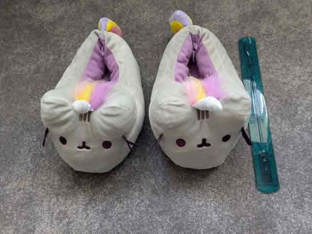 Photo of free Novelty child slippers (Chippenham SN15) #2
