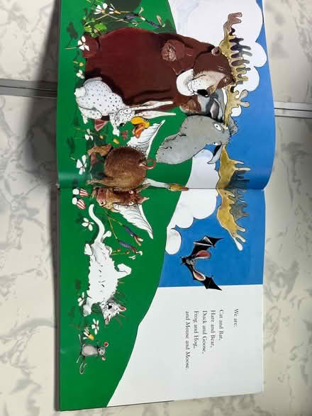 Photo of free Amazing animal hide and seek book (Westbrook WA5) #3