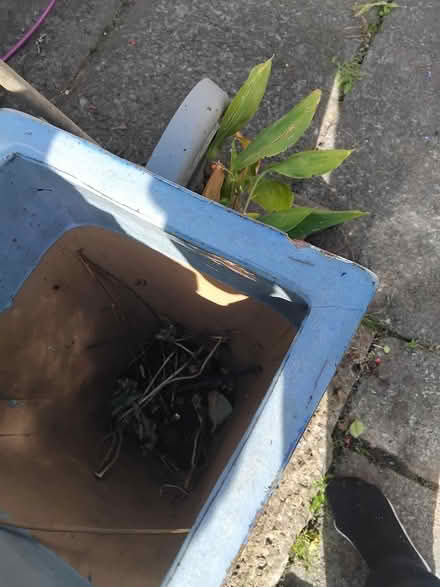 Photo of free Plant pot (Middleton M24) #2