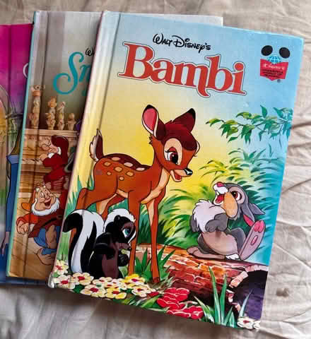 Photo of free 24 kids Disney books (Haslucks Green Shirley B90) #2