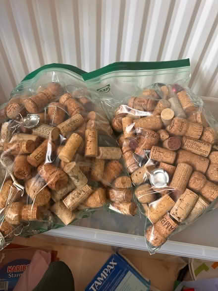 Photo of free Wine and champagne corks (Old Basford NG6) #1