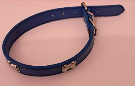 Photo of free Dog Collar. (Will fit small or medium size). (Great Sankey WA5) #1