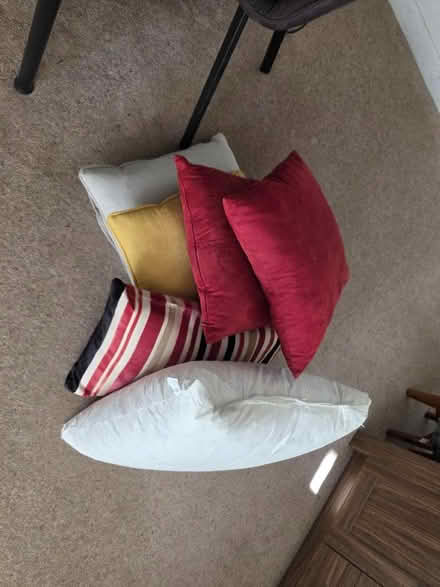 Photo of free Various cushions (Swindon Village GL51) #1