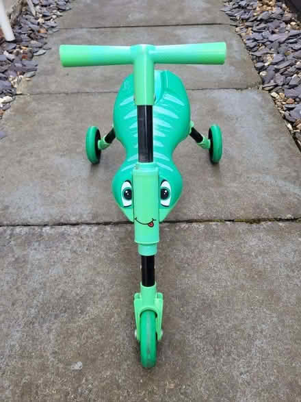 Photo of free Scuttlebug Grasshopper (Mortonhall EH17) #1