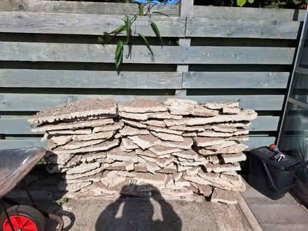 Photo of free Hardcore (Brixham TQ59) #2