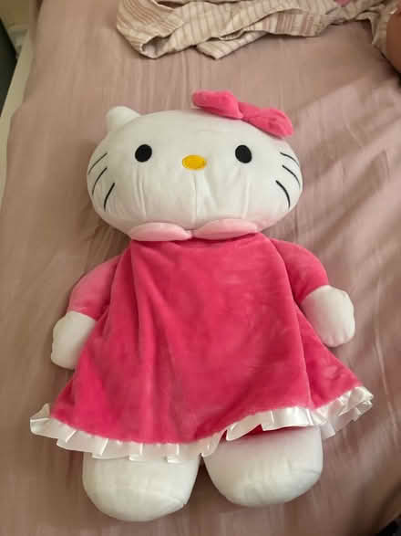 Photo of free hello kitty teddy bear + labubu (Forest Gate E7) #3