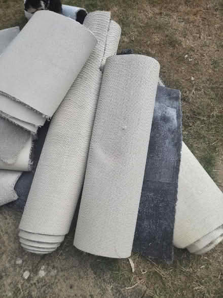 Photo of free Carpet offcuts (Bilton rugby CV22) #1