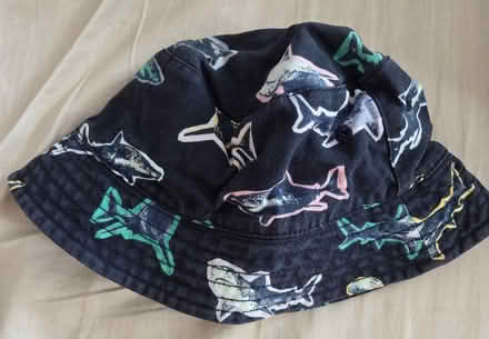Photo of free Shark hat age 3-6 (TW1) #1