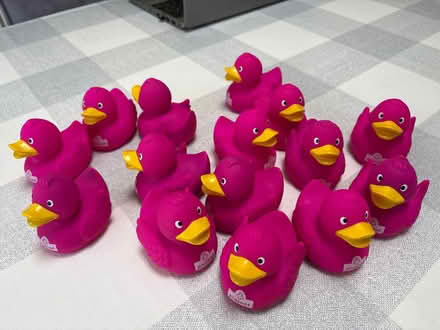 Photo of free 15 pink rubber ducks (Shirley CR0) #1