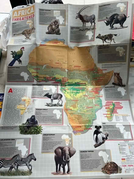 Photo of free 2 sided Africa wall poster (National geographic) (Westbrook WA5) #2