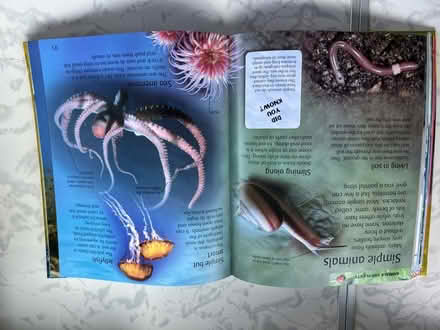 Photo of free Children’s picture encyclopedia (Westbrook WA5) #3