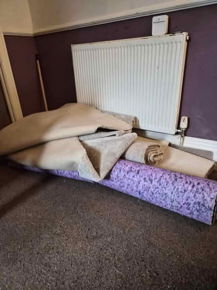 Photo of free Carpet and underlay offcuts (Cottingham Hu16) #1