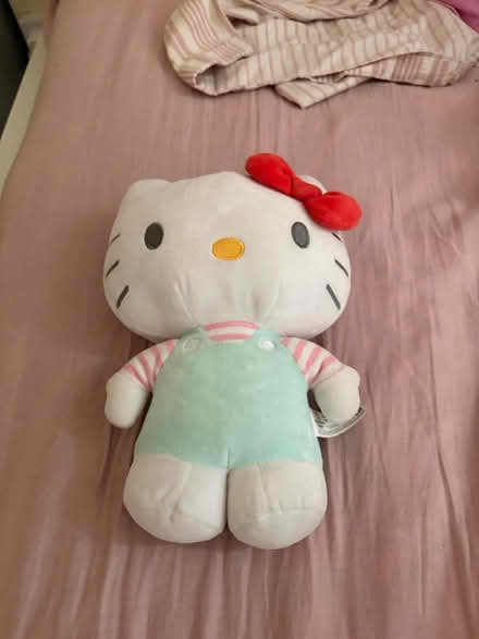 Photo of free hello kitty teddy bear + labubu (Forest Gate E7) #2