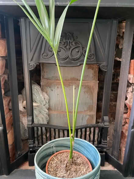 Photo of Victorian fire basket (Fradley WS13) #1