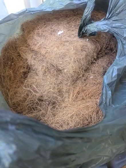 Photo of free Coir fibres, cotton kapoc, mattress springs (Morrell Avenue OX4) #3