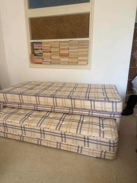 Photo of free TODAY ONLY - Single bed w/ pullout (Haringey) #2