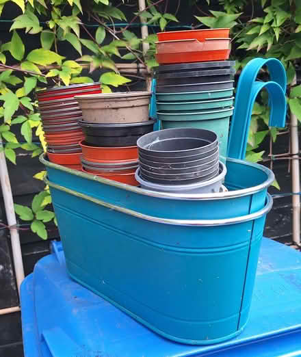 Photo of free Garden items (Glenrothes KY6) #1