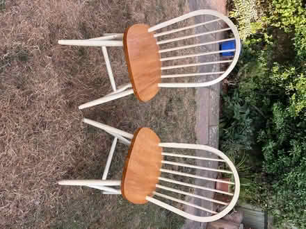 Photo of free 2 dining chairs (Kenilworth CV8) #1