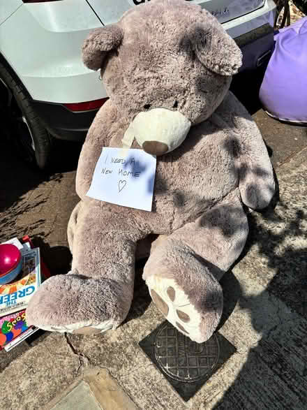 Photo of free Very large teddy bear (Teddington TW11) #1
