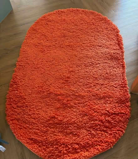 Photo of free Orange rug (Roffey RH12) #1