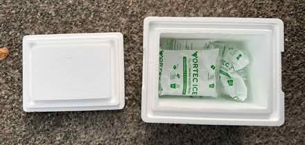Photo of free Small styrofoam cooler & ice packs (1075 Valencia Avenue) #1