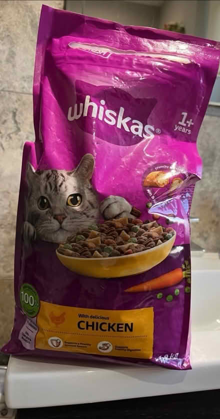 Photo of free Dry cat food (Paisley PA2) #1