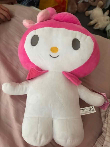 Photo of free hello kitty teddy bear + labubu (Forest Gate E7) #1