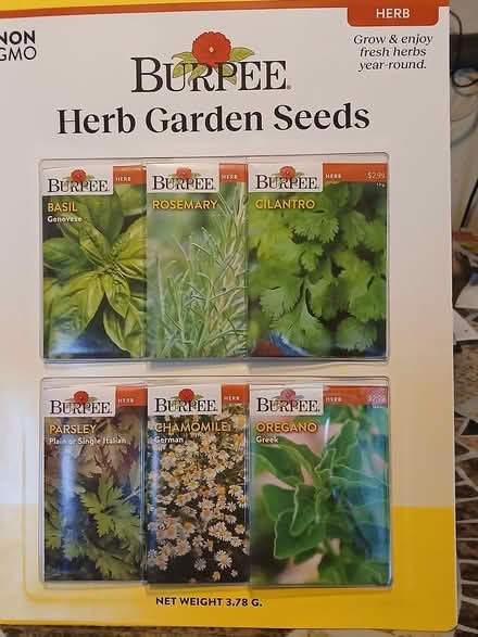 Photo of free Burpee herb seeds (Woburn south) #1