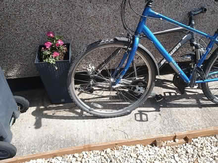 Photo of free Marin mountain bike 17 inch frame (Bristol BS7) #2