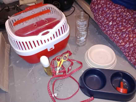 Photo of free Guinea Pig bits and bobs (Chartham CT4) #1