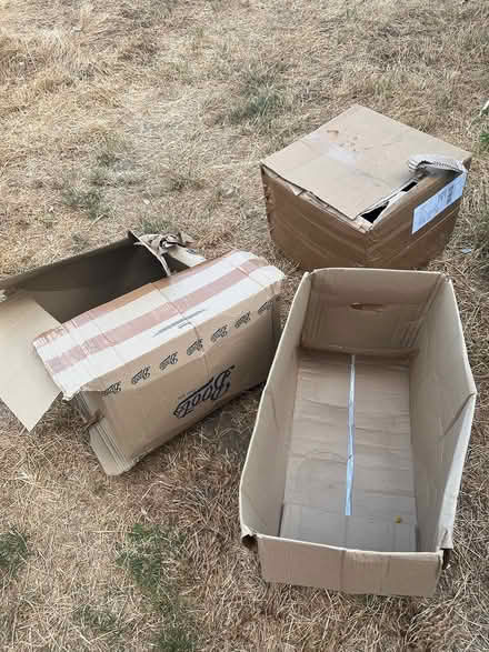 Photo of free Boxes (Ipswich IP2) #1