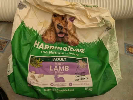 Photo of free Harringtons dry dog food (Little Billing NN3) #1