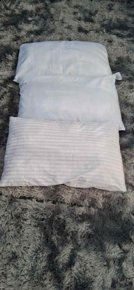 Photo of free 3 pillows (Norwich. NR3) #1