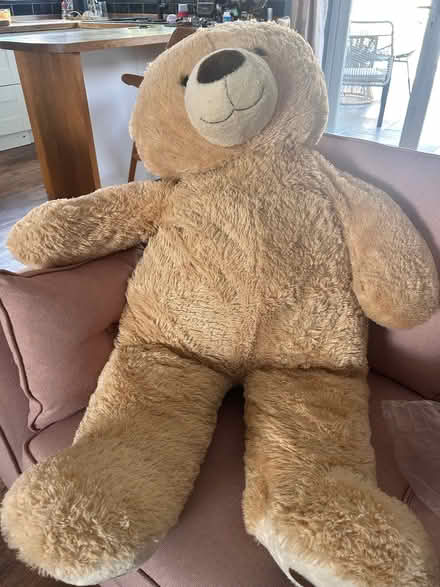 Photo of free Huge teddy bear (Rushwick WR2) #1