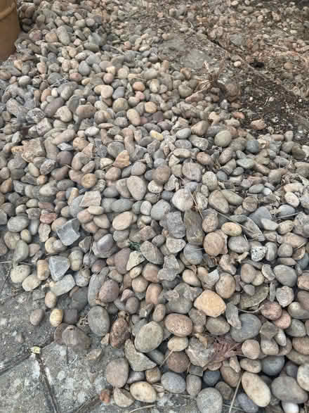 Photo of free Garden pebbles (Bicester OX26) #1
