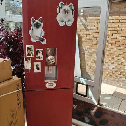 Photo of free Fridge freezer (St Austell PL25) #1