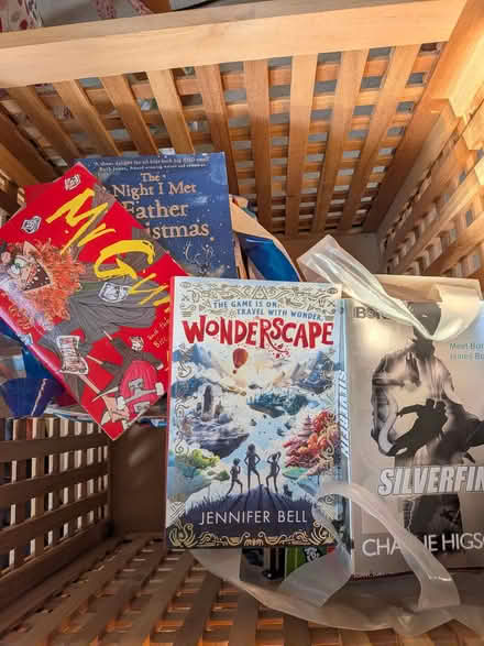 Photo of free 2 bags of boys books (Welling DA16) #1