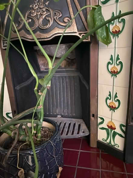 Photo of Victorian fire basket (Fradley WS13) #2