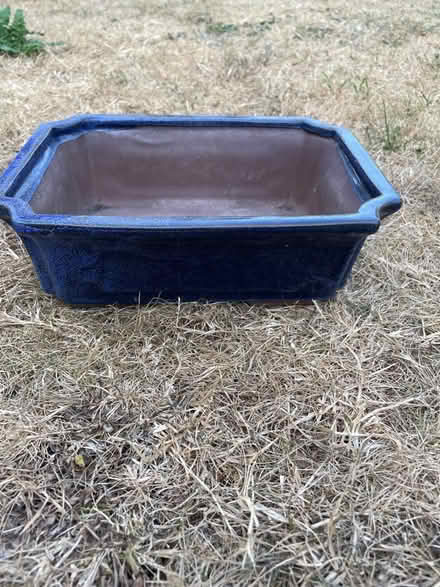 Photo of free Four Bonsai planters and food (Chewton Keynsham BS31) #3